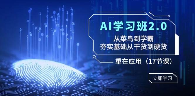 AI学习班2.0：从菜鸟到学霸，夯实基础从干货到硬货，重在应用（17节课）71快客-网赚-兼职-视频代发71快客网