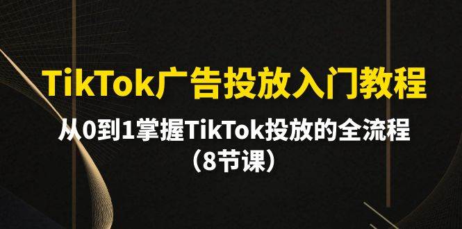 TikTok广告投放入门教程，从0到1掌握TikTok投放的全流程（8节课）71快客-网赚-兼职-视频代发71快客网