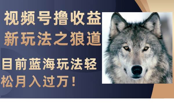 视频号撸收益新玩法之狼道，目前蓝海玩法轻松月入过万！71快客-网赚-兼职-视频代发71快客网