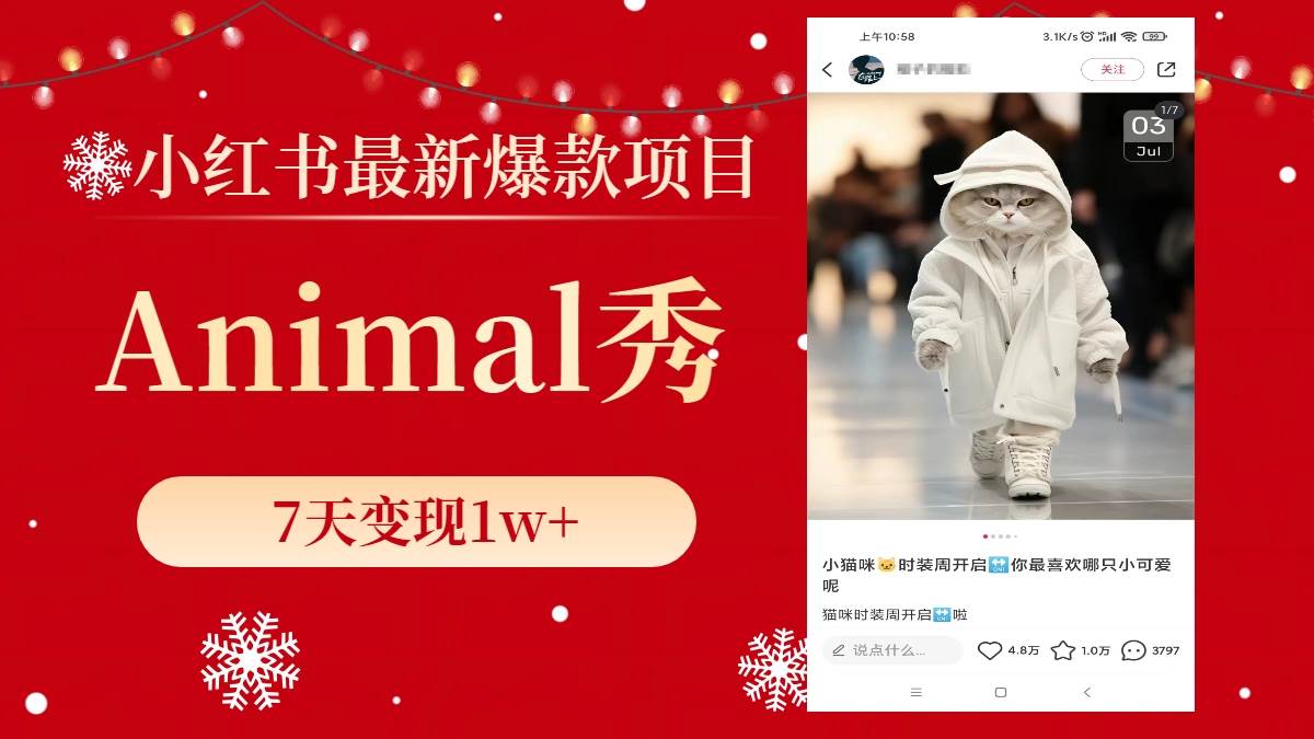 小红书最新爆款项目，Animal秀，7天变现1w+71快客-网赚-兼职-视频代发71快客网