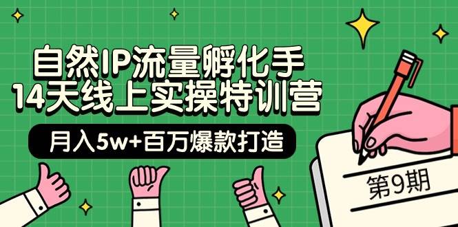 自然IP流量孵化手 14天线上实操特训营【第9期】月入5w+百万爆款打造 (74节)71快客-网赚-兼职-视频代发71快客网
