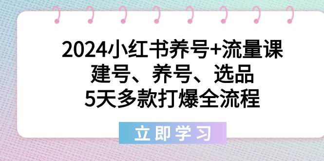 2024小红书养号+流量课：建号、养号、选品，5天多款打爆全流程71快客-网赚-兼职-视频代发71快客网