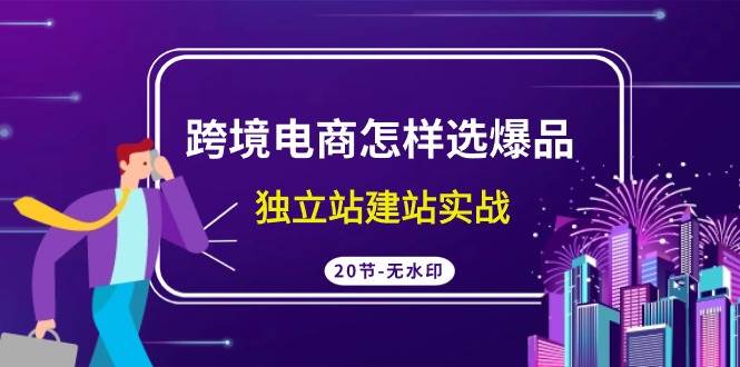 跨境电商怎样选爆品，独立站建站实战（20节高清无水印课）71快客-网赚-兼职-视频代发71快客网