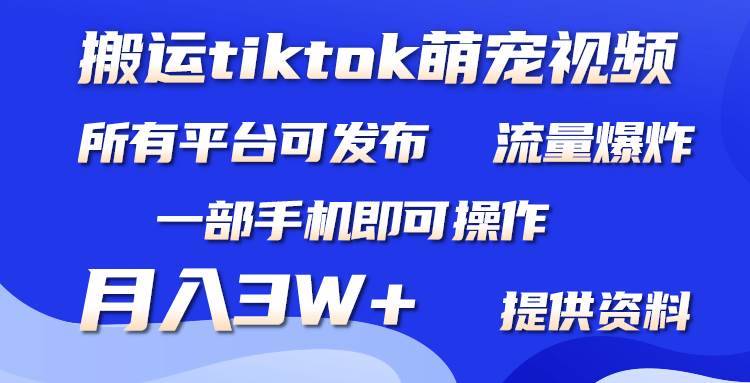 搬运Tiktok萌宠类视频，一部手机即可。所有短视频平台均可操作，月入3W+71快客-网赚-兼职-视频代发71快客网