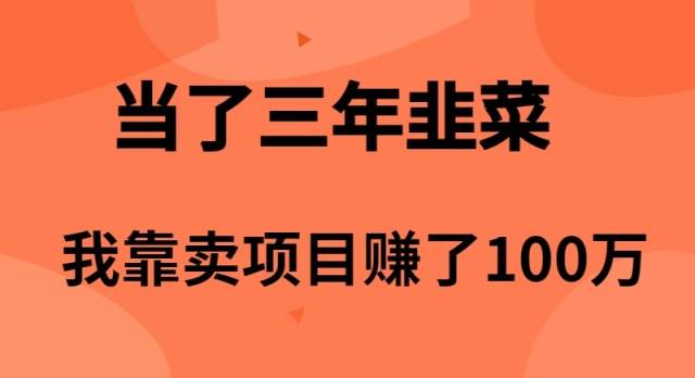 当了3年韭菜，我靠卖项目赚了100万71快客-网赚-兼职-视频代发71快客网