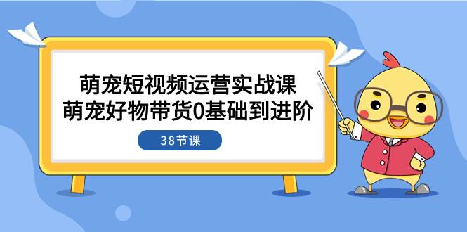 萌宠·短视频运营实战课：萌宠好物带货0基础到进阶（38节课）71快客-网赚-兼职-视频代发71快客网