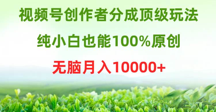 视频号创作者分成顶级玩法，纯小白也能100%原创，无脑月入10000+71快客-网赚-兼职-视频代发71快客网