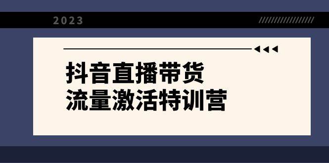 抖音直播带货-流量激活特训营，入行新手小白主播必学（21节课+资料）71快客-网赚-兼职-视频代发71快客网